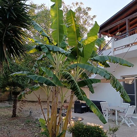 La Casa Del Noce Villa Ruffano Eksteriør billede