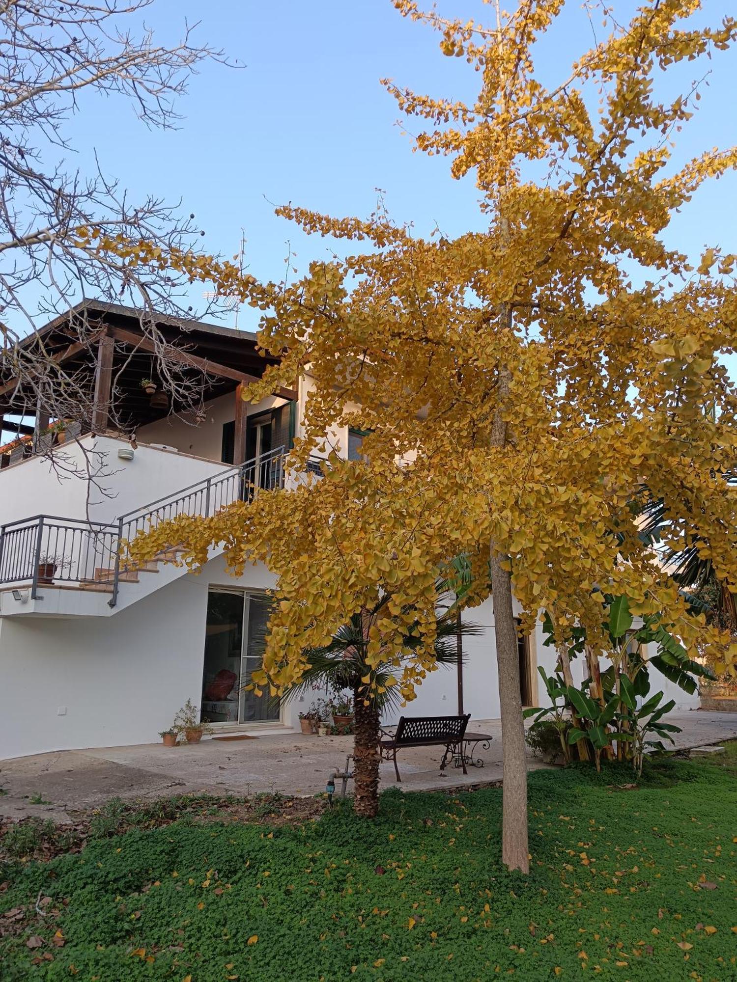La Casa Del Noce Villa Ruffano Eksteriør billede